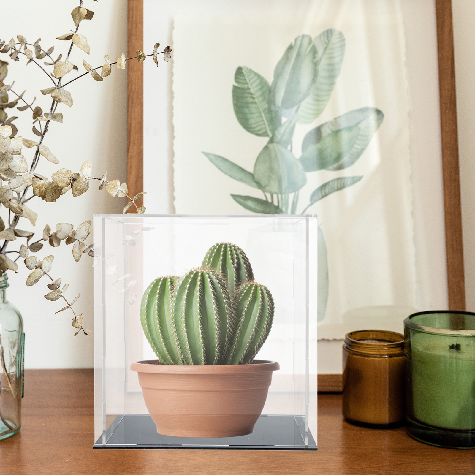 Boîte de présentation transpar - Display Case Acrylic avis et prix